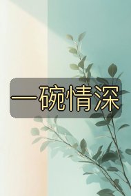 一碗情深封面