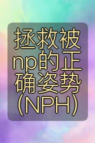 拯救被np的正确姿势（NPH）封面
