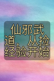 仙邪武道,从捡经验开始封面