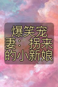 爆笑宠妻：拐来的小新娘封面