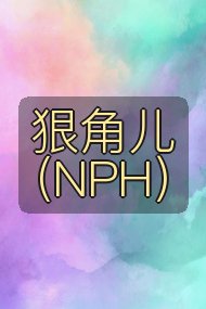 狠角儿(NPH)封面